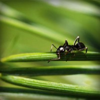 /album/bogdan-bubu/photolia-a05-jpg/