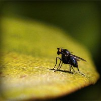 /album/bogdan-bubu/photolia-a07-jpg/